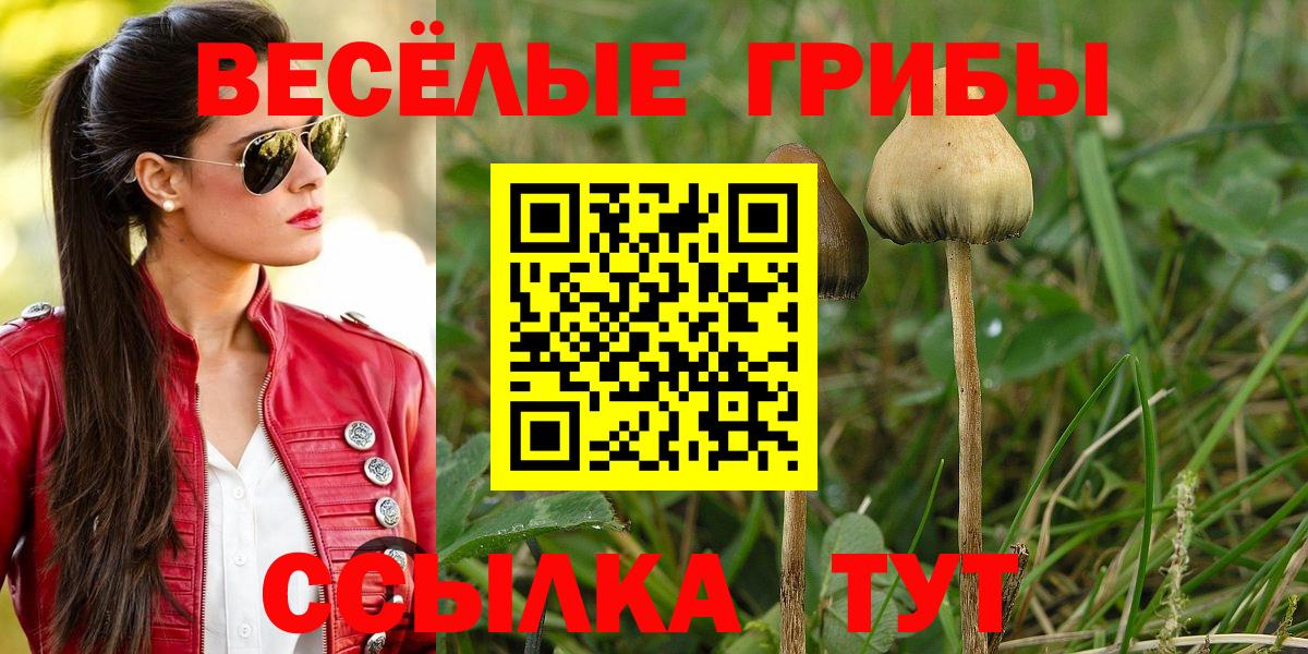 Галлюциногенные грибы GOLDEN TEACHER Кандалакша